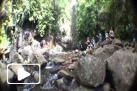 Madeira - Levada das 25 fontes