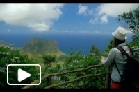 Uma semana na Ilha da Madeira