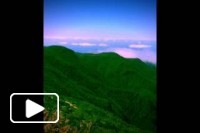 The Beauty Of Madeira