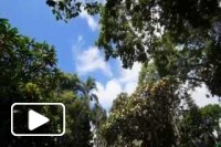 Na Madeira