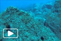 Mergulho - Ilha da Madeira - Ponta São Lourenço