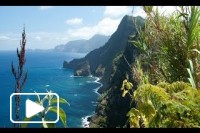 Reportagem Ilha da Madeira