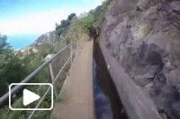 Madeira Trip