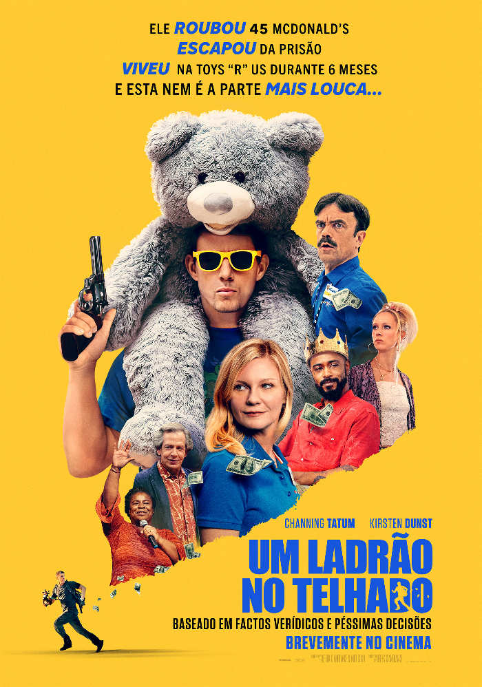 Um Ladrão No Telhado