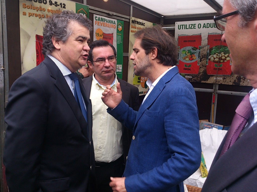 PSD quer “melhorar os circuitos de exportação” da anona