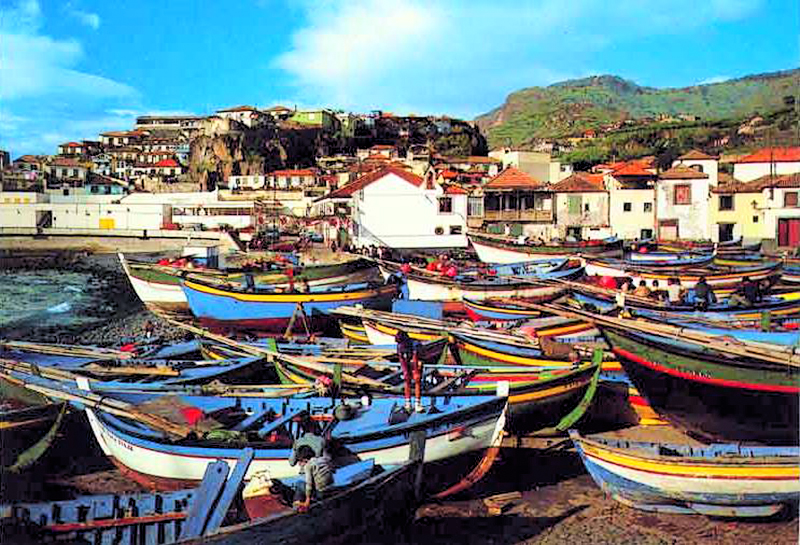 Partido da Terra pede medidas na área das pescas