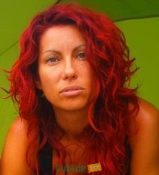 PAN quer criar Tribunal Europeu dos Direitos dos Animais