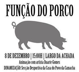 “Função do Porco” no Largo da Achada