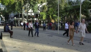 Programas Intervir + e Rumos com um total de 104 candidaturas