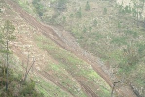 Director regional das Florestas desmente gastos em transporte  de terras