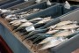 Comissária europeia promete apoios para exportar pescado madeirense