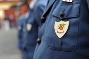 PSD emite voto de congratulação pelo centenário do corpo de Polícia Florestal