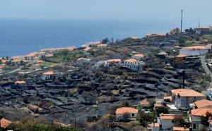 CDU quer a recuperação das áreas florestais ardidas