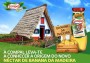 Compal promove concurso associado ao néctar Banana da Madeira