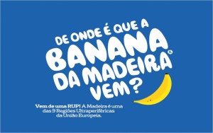 Banana da Madeira é a preferida dos portugueses