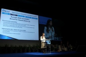 Madeira tem condições para produzir ostras para mercado francês