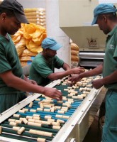 Lucros da Corticeira Amorim caem 8,1% no primeiro trimestre para 5,2 milhões de euros