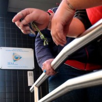 Taxa de desemprego na Madeira atinge os 20% no primeiro trimestre deste ano