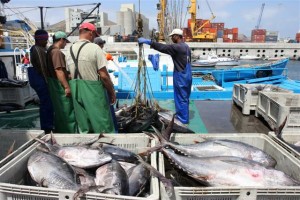 Publicado acordo que permite pesca artesanal nas águas da Madeira e Canárias