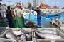 Publicado acordo que permite pesca artesanal nas águas da Madeira e Canárias