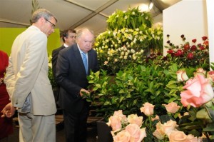 Aumento do desemprego é natural com a política do Governo da República