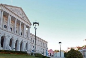 Os Verdes propõem criação de um Plano Nacional de Prevenção de Dengue