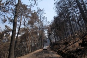 PND vai pedir inquérito à actuação dos bombeiros nos incêndios de 2010