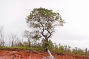 Exposição do Prémio BES Photo 2013 é inaugurada hoje no Brasil