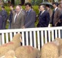 Jardim vai estar na Feira do Gado