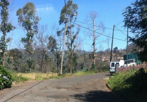 Junta de Gaula reitera apelos com ano e meio