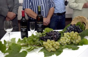 Vinhos de Mesa madeirenses promovidos no mercado nacional