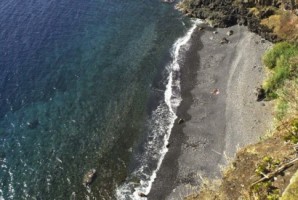 CDU propõe criação de ecoparque marinho em Gaula