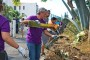 CDS quer um Funchal construído por todos os cidadãos