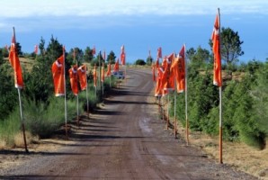 Grupo de 13 pessoas abandonadas na Herdade do Chão da Lagoa