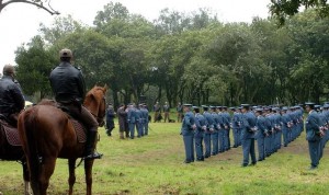 Carreira da Polícia Florestal aprovada