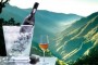 Vinho Madeira promovido junto de madeirenses e turistas