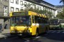 CDU quer passe combinado para quem se desloque ao Funchal