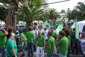 JPP apresenta soluções contra os que faliram a Madeira