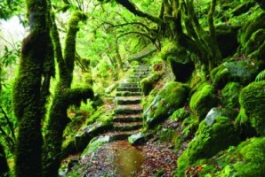 Madeira nomeada para melhor destino insular do Mundo
