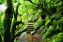 Madeira nomeada para melhor destino insular do Mundo