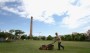 Governo retira Jardim de Santa Luzia à Câmara do Funchal