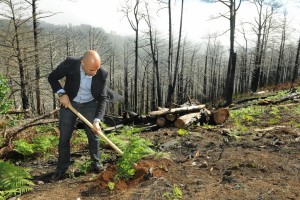 CMF vai fazer Plano Municipal de Defesa da Floresta
