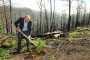 CMF vai fazer Plano Municipal de Defesa da Floresta