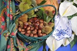 MPT pede ao Governo medidas para garantir escoamento da produção de castanha