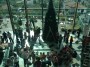 Escola do Tanque decorou árvore do MadeiraShopping