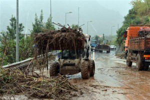 MPT-Madeira apela à harmonia entre autoridades para recuperar Porto da Cruz
