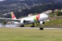 Linha da Madeira ajudou TAP a crescer 5% em 2013