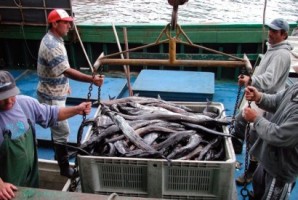 PSD acusa o CDS de comportamento indigno na questão das pescas