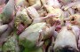 Madeira aumenta produção de ovos e frango e diminui pescado