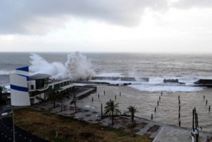 Hortas urbanas e marina do Lugar de Baixo, os extremos tocam-se